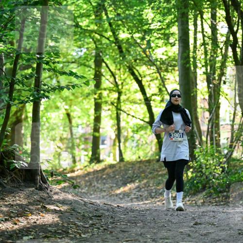 28.09.2025 - 33. Volkslauf durch das schöne Alstertal Dr. Thomas Lammeyer http://msf.ph/oto/8964377 28.09.2025 11:20:28 Laufen 3901 meine-sportfotos.de