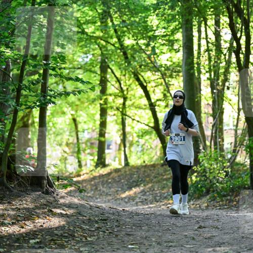 28.09.2025 - 33. Volkslauf durch das schöne Alstertal Dr. Thomas Lammeyer http://msf.ph/oto/8964380 28.09.2025 11:20:28 Laufen 3901 meine-sportfotos.de