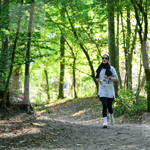 28.09.2025 - 33. Volkslauf durch das schöne Alstertal Dr. Thomas Lammeyer http://msf.ph/oto/8964381 28.09.2025 11:20:28 Laufen 3901 meine-sportfotos.de