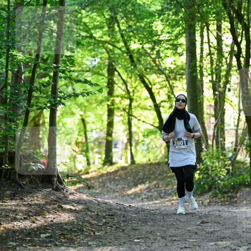 28.09.2025 - 33. Volkslauf durch das schöne Alstertal Dr. Thomas Lammeyer http://msf.ph/oto/8964382 28.09.2025 11:20:28 Laufen 3901 meine-sportfotos.de
