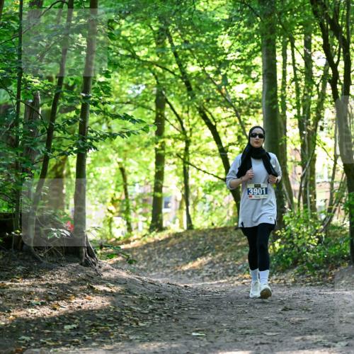 28.09.2025 - 33. Volkslauf durch das schöne Alstertal Dr. Thomas Lammeyer http://msf.ph/oto/8964383 28.09.2025 11:20:28 Laufen 3901 meine-sportfotos.de