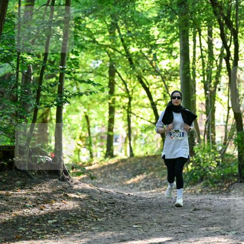 28.09.2025 - 33. Volkslauf durch das schöne Alstertal Dr. Thomas Lammeyer http://msf.ph/oto/8964385 28.09.2025 11:20:28 Laufen 3901 meine-sportfotos.de