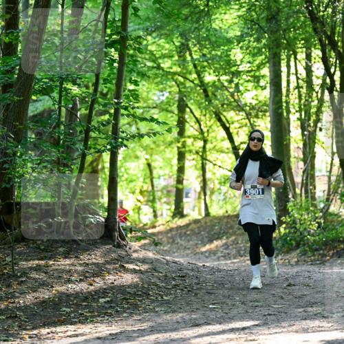 28.09.2025 - 33. Volkslauf durch das schöne Alstertal Dr. Thomas Lammeyer http://msf.ph/oto/8964388 28.09.2025 11:20:29 Laufen 3901 meine-sportfotos.de