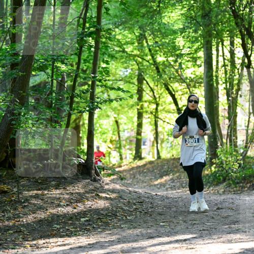 28.09.2025 - 33. Volkslauf durch das schöne Alstertal Dr. Thomas Lammeyer http://msf.ph/oto/8964389 28.09.2025 11:20:29 Laufen 3901 meine-sportfotos.de