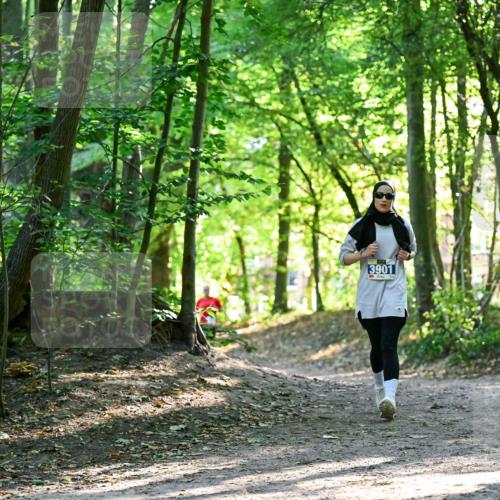 28.09.2025 - 33. Volkslauf durch das schöne Alstertal Dr. Thomas Lammeyer http://msf.ph/oto/8964390 28.09.2025 11:20:29 Laufen 3901 meine-sportfotos.de