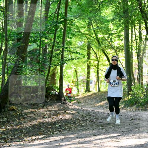 28.09.2025 - 33. Volkslauf durch das schöne Alstertal Dr. Thomas Lammeyer http://msf.ph/oto/8964392 28.09.2025 11:20:29 Laufen 3901 meine-sportfotos.de
