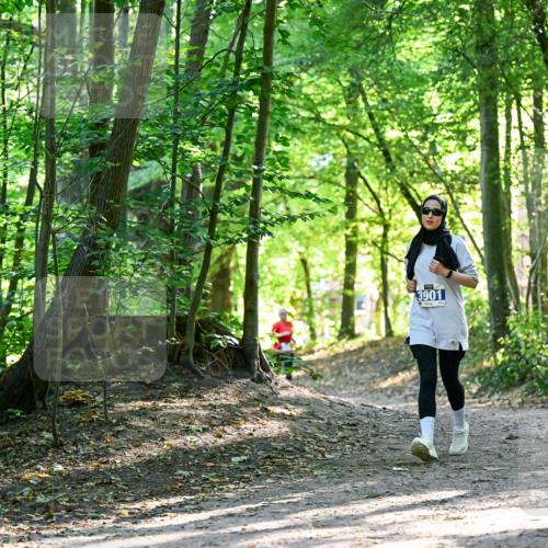 28.09.2025 - 33. Volkslauf durch das schöne Alstertal Dr. Thomas Lammeyer http://msf.ph/oto/8964393 28.09.2025 11:20:29 Laufen 3901 meine-sportfotos.de