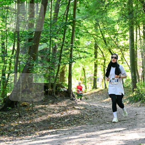 28.09.2025 - 33. Volkslauf durch das schöne Alstertal Dr. Thomas Lammeyer http://msf.ph/oto/8964394 28.09.2025 11:20:30 Laufen 3901 meine-sportfotos.de