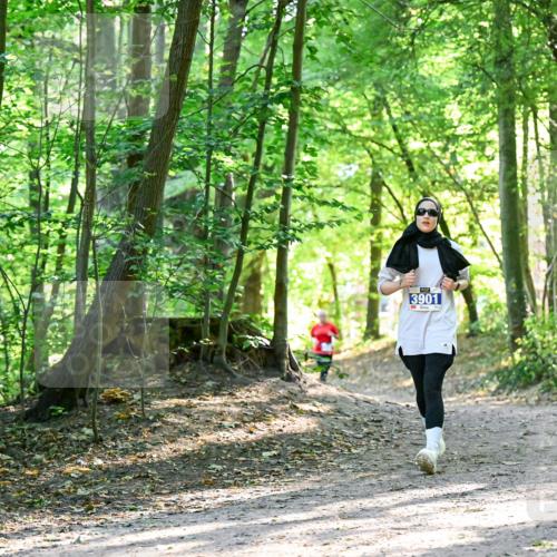 28.09.2025 - 33. Volkslauf durch das schöne Alstertal Dr. Thomas Lammeyer http://msf.ph/oto/8964396 28.09.2025 11:20:30 Laufen 3901 meine-sportfotos.de