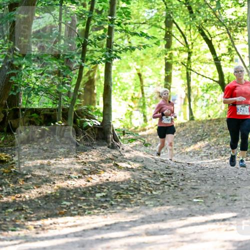 28.09.2025 - 33. Volkslauf durch das schöne Alstertal Dr. Thomas Lammeyer http://msf.ph/oto/8964397 28.09.2025 11:20:37 Laufen 3073, 3289 meine-sportfotos.de