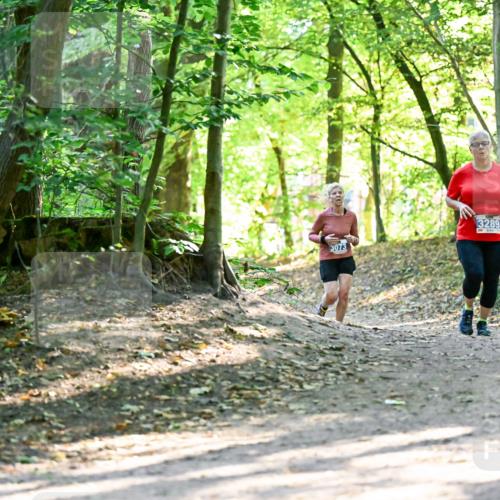 28.09.2025 - 33. Volkslauf durch das schöne Alstertal Dr. Thomas Lammeyer http://msf.ph/oto/8964399 28.09.2025 11:20:37 Laufen 3073, 3289 meine-sportfotos.de