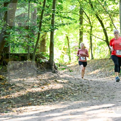 28.09.2025 - 33. Volkslauf durch das schöne Alstertal Dr. Thomas Lammeyer http://msf.ph/oto/8964400 28.09.2025 11:20:37 Laufen 3073, 3289 meine-sportfotos.de