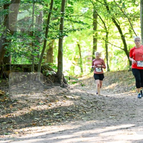 28.09.2025 - 33. Volkslauf durch das schöne Alstertal Dr. Thomas Lammeyer http://msf.ph/oto/8964401 28.09.2025 11:20:37 Laufen 3289 meine-sportfotos.de