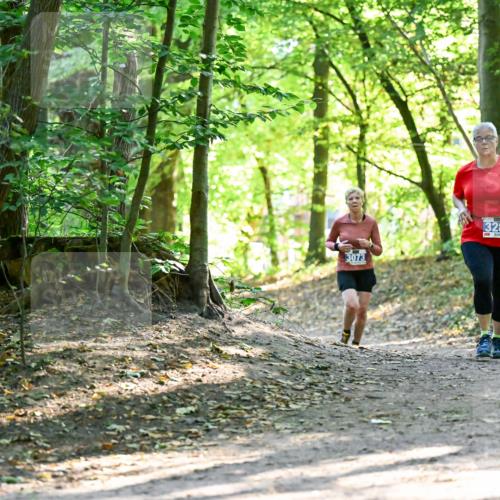 28.09.2025 - 33. Volkslauf durch das schöne Alstertal Dr. Thomas Lammeyer http://msf.ph/oto/8964405 28.09.2025 11:20:38 Laufen 3073, 3289 meine-sportfotos.de