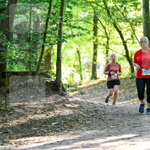 28.09.2025 - 33. Volkslauf durch das schöne Alstertal Dr. Thomas Lammeyer http://msf.ph/oto/8964412 28.09.2025 11:20:39 Laufen 3289 meine-sportfotos.de