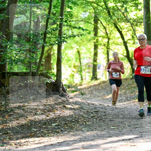 28.09.2025 - 33. Volkslauf durch das schöne Alstertal Dr. Thomas Lammeyer http://msf.ph/oto/8964413 28.09.2025 11:20:39 Laufen 3073, 3289 meine-sportfotos.de