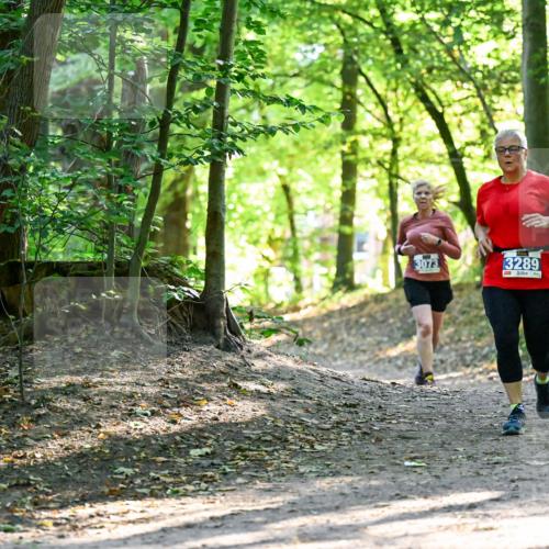 28.09.2025 - 33. Volkslauf durch das schöne Alstertal Dr. Thomas Lammeyer http://msf.ph/oto/8964414 28.09.2025 11:20:39 Laufen 3073, 3289 meine-sportfotos.de