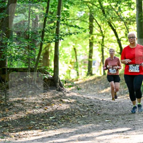 28.09.2025 - 33. Volkslauf durch das schöne Alstertal Dr. Thomas Lammeyer http://msf.ph/oto/8964415 28.09.2025 11:20:39 Laufen 3289 meine-sportfotos.de