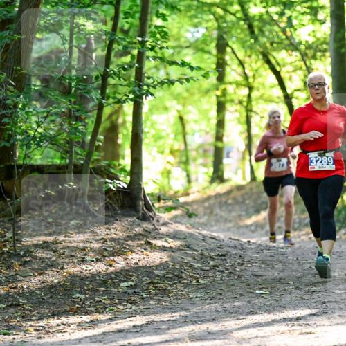 28.09.2025 - 33. Volkslauf durch das schöne Alstertal Dr. Thomas Lammeyer http://msf.ph/oto/8964416 28.09.2025 11:20:39 Laufen 3289 meine-sportfotos.de