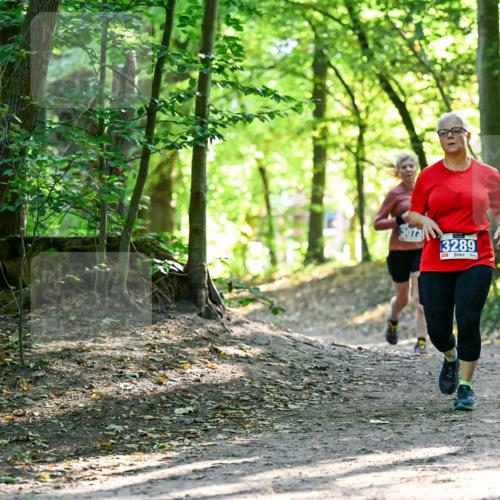 28.09.2025 - 33. Volkslauf durch das schöne Alstertal Dr. Thomas Lammeyer http://msf.ph/oto/8964418 28.09.2025 11:20:39 Laufen 3073, 3289 meine-sportfotos.de