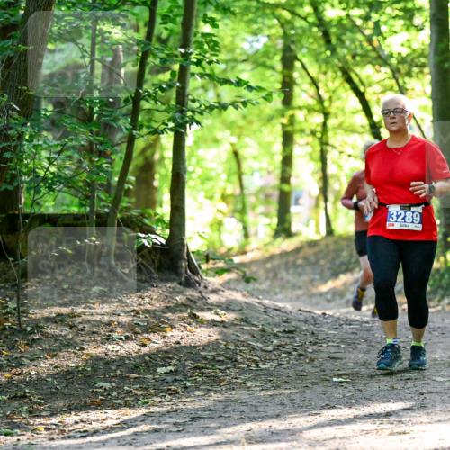 28.09.2025 - 33. Volkslauf durch das schöne Alstertal Dr. Thomas Lammeyer http://msf.ph/oto/8964419 28.09.2025 11:20:39 Laufen 3289 meine-sportfotos.de