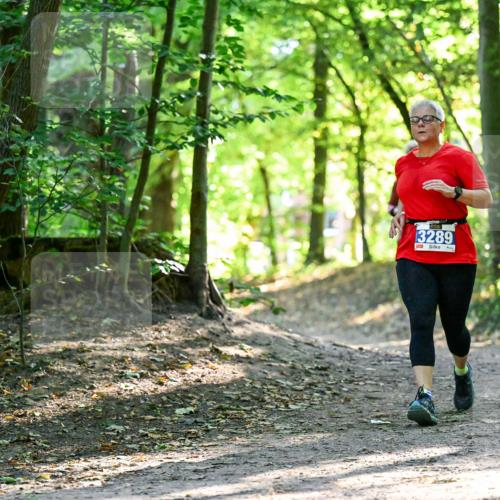 28.09.2025 - 33. Volkslauf durch das schöne Alstertal Dr. Thomas Lammeyer http://msf.ph/oto/8964420 28.09.2025 11:20:40 Laufen 3289 meine-sportfotos.de