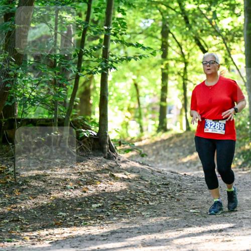 28.09.2025 - 33. Volkslauf durch das schöne Alstertal Dr. Thomas Lammeyer http://msf.ph/oto/8964421 28.09.2025 11:20:40 Laufen 3289 meine-sportfotos.de