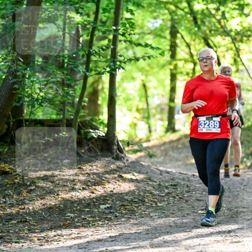 28.09.2025 - 33. Volkslauf durch das schöne Alstertal Dr. Thomas Lammeyer http://msf.ph/oto/8964424 28.09.2025 11:20:40 Laufen 3289 meine-sportfotos.de
