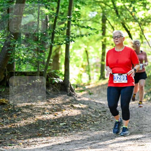28.09.2025 - 33. Volkslauf durch das schöne Alstertal Dr. Thomas Lammeyer http://msf.ph/oto/8964425 28.09.2025 11:20:40 Laufen 3289 meine-sportfotos.de