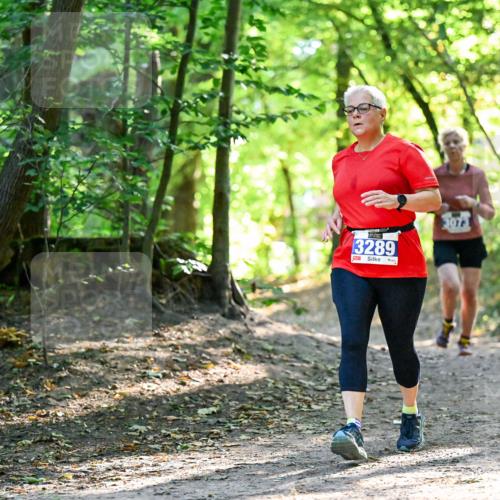 28.09.2025 - 33. Volkslauf durch das schöne Alstertal Dr. Thomas Lammeyer http://msf.ph/oto/8964426 28.09.2025 11:20:40 Laufen 3289, 3073 meine-sportfotos.de