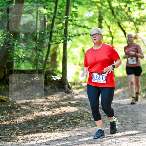 28.09.2025 - 33. Volkslauf durch das schöne Alstertal Dr. Thomas Lammeyer http://msf.ph/oto/8964427 28.09.2025 11:20:40 Laufen 3289 meine-sportfotos.de