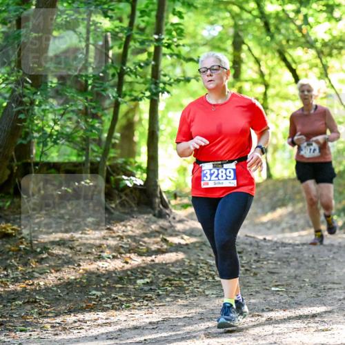 28.09.2025 - 33. Volkslauf durch das schöne Alstertal Dr. Thomas Lammeyer http://msf.ph/oto/8964428 28.09.2025 11:20:41 Laufen 3289 meine-sportfotos.de