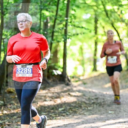 28.09.2025 - 33. Volkslauf durch das schöne Alstertal Dr. Thomas Lammeyer http://msf.ph/oto/8964430 28.09.2025 11:20:41 Laufen 3289 meine-sportfotos.de