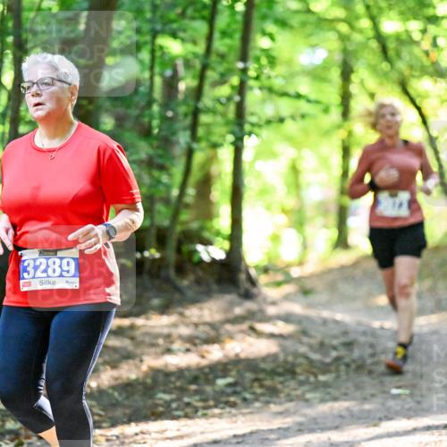 28.09.2025 - 33. Volkslauf durch das schöne Alstertal Dr. Thomas Lammeyer http://msf.ph/oto/8964431 28.09.2025 11:20:42 Laufen 3289 meine-sportfotos.de