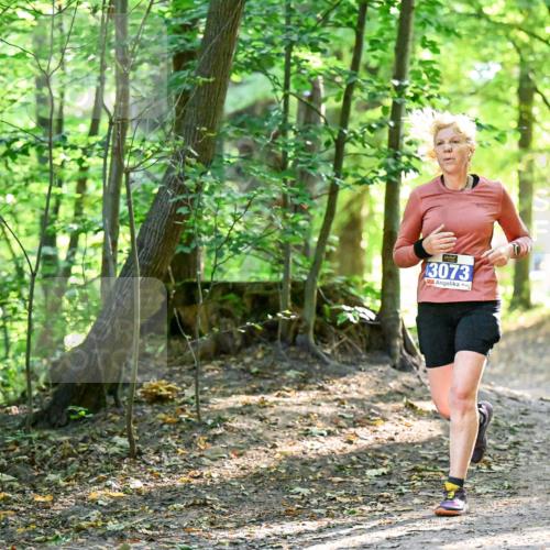 28.09.2025 - 33. Volkslauf durch das schöne Alstertal Dr. Thomas Lammeyer http://msf.ph/oto/8964436 28.09.2025 11:20:42 Laufen 3073 meine-sportfotos.de