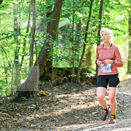 28.09.2025 - 33. Volkslauf durch das schöne Alstertal Dr. Thomas Lammeyer http://msf.ph/oto/8964437 28.09.2025 11:20:42 Laufen 3073 meine-sportfotos.de