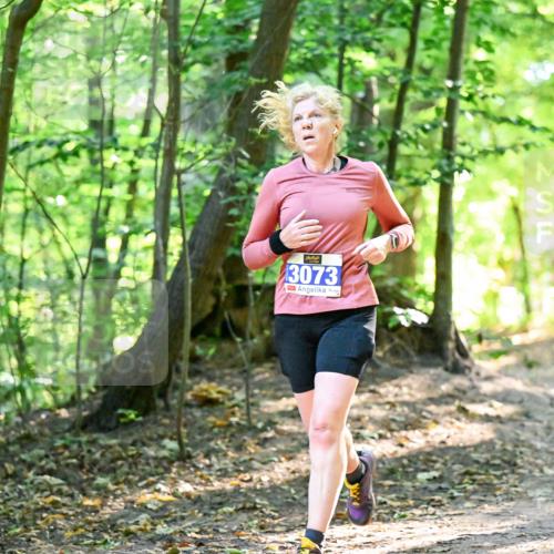 28.09.2025 - 33. Volkslauf durch das schöne Alstertal Dr. Thomas Lammeyer http://msf.ph/oto/8964442 28.09.2025 11:20:43 Laufen 3073 meine-sportfotos.de
