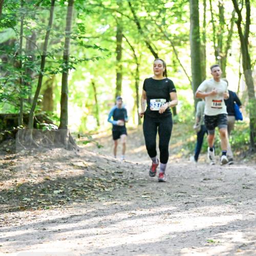 28.09.2025 - 33. Volkslauf durch das schöne Alstertal Dr. Thomas Lammeyer http://msf.ph/oto/8964489 28.09.2025 11:21:42 Laufen 3370, 184 meine-sportfotos.de
