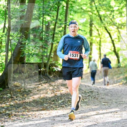 28.09.2025 - 33. Volkslauf durch das schöne Alstertal Dr. Thomas Lammeyer http://msf.ph/oto/8964502 28.09.2025 11:21:46 Laufen 1531 meine-sportfotos.de