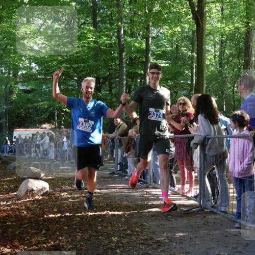 28.09.2025 - 33. Volkslauf durch das schöne Alstertal Strokosch-Dieckow http://msf.ph/oto/8964506 28.09.2025 11:12:53 Ziel 3374, 3392 meine-sportfotos.de