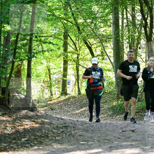 28.09.2025 - 33. Volkslauf durch das schöne Alstertal Dr. Thomas Lammeyer http://msf.ph/oto/8964511 28.09.2025 11:22:01 Laufen 3153, 3040 meine-sportfotos.de