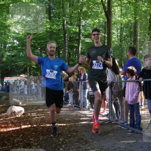 28.09.2025 - 33. Volkslauf durch das schöne Alstertal Strokosch-Dieckow http://msf.ph/oto/8964512 28.09.2025 11:12:53 Ziel 3374, 3392 meine-sportfotos.de