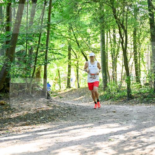 28.09.2025 - 33. Volkslauf durch das schöne Alstertal Dr. Thomas Lammeyer http://msf.ph/oto/8964523 28.09.2025 11:22:09 Laufen 1519 meine-sportfotos.de