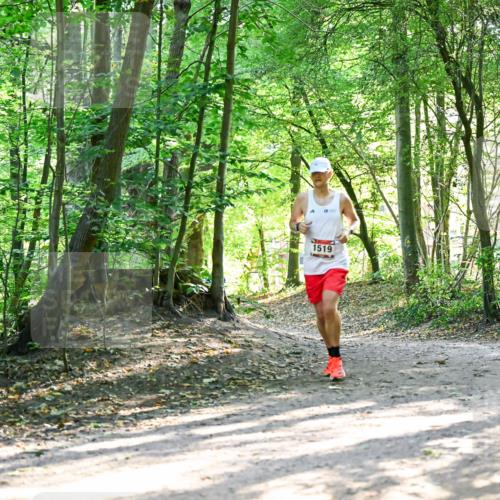 28.09.2025 - 33. Volkslauf durch das schöne Alstertal Dr. Thomas Lammeyer http://msf.ph/oto/8964530 28.09.2025 11:22:10 Laufen 1519 meine-sportfotos.de