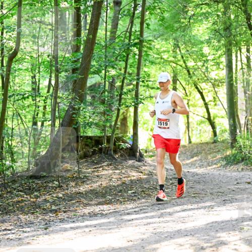 28.09.2025 - 33. Volkslauf durch das schöne Alstertal Dr. Thomas Lammeyer http://msf.ph/oto/8964533 28.09.2025 11:22:11 Laufen 1519 meine-sportfotos.de