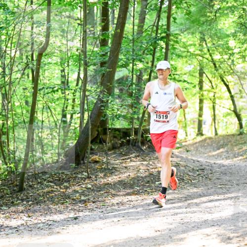 28.09.2025 - 33. Volkslauf durch das schöne Alstertal Dr. Thomas Lammeyer http://msf.ph/oto/8964537 28.09.2025 11:22:11 Laufen 1519 meine-sportfotos.de