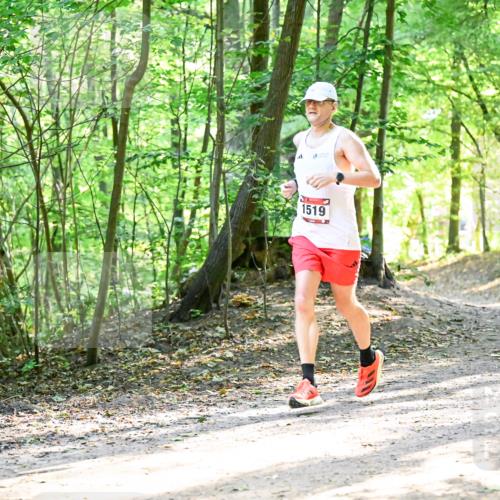 28.09.2025 - 33. Volkslauf durch das schöne Alstertal Dr. Thomas Lammeyer http://msf.ph/oto/8964540 28.09.2025 11:22:11 Laufen 1519 meine-sportfotos.de