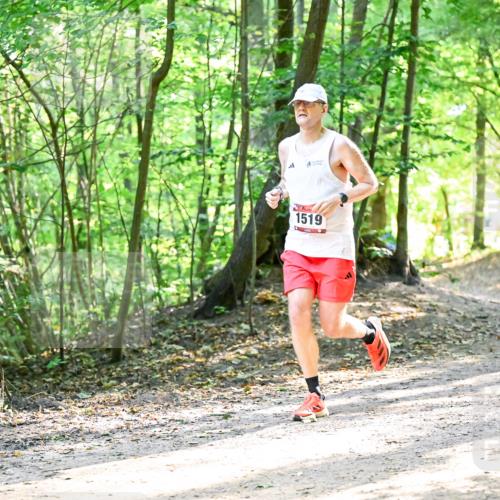 28.09.2025 - 33. Volkslauf durch das schöne Alstertal Dr. Thomas Lammeyer http://msf.ph/oto/8964541 28.09.2025 11:22:11 Laufen 1519 meine-sportfotos.de