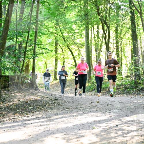 28.09.2025 - 33. Volkslauf durch das schöne Alstertal Dr. Thomas Lammeyer http://msf.ph/oto/8964561 28.09.2025 11:22:27 Laufen 3325, 1525 meine-sportfotos.de