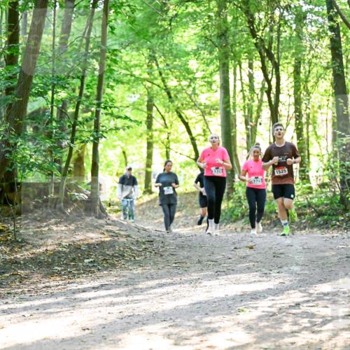 28.09.2025 - 33. Volkslauf durch das schöne Alstertal Dr. Thomas Lammeyer http://msf.ph/oto/8964562 28.09.2025 11:22:27 Laufen 3326, 33251, 1525 meine-sportfotos.de